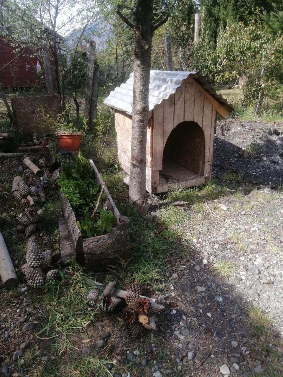 Cabana May Pao, Para 3 En Melipeuco Cerca Del Parque Nacional Conguillio Buitenkant foto