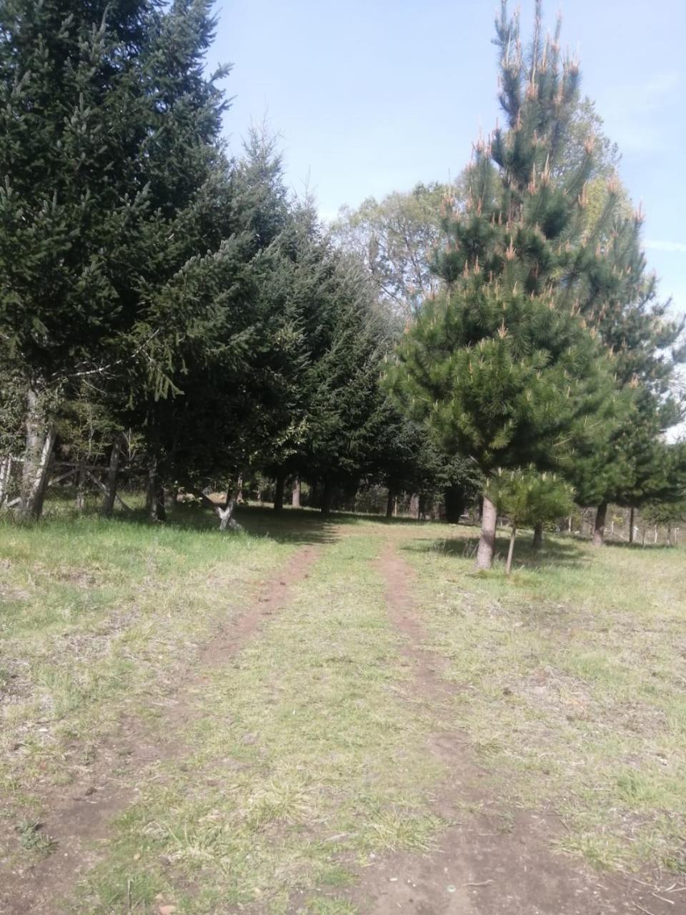 Cabana May Pao, Para 3 En Melipeuco Cerca Del Parque Nacional Conguillio Buitenkant foto