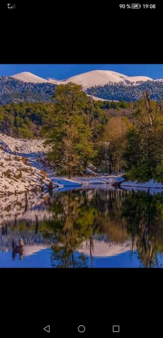 Cabana May Pao, Para 3 En Melipeuco Cerca Del Parque Nacional Conguillio Buitenkant foto