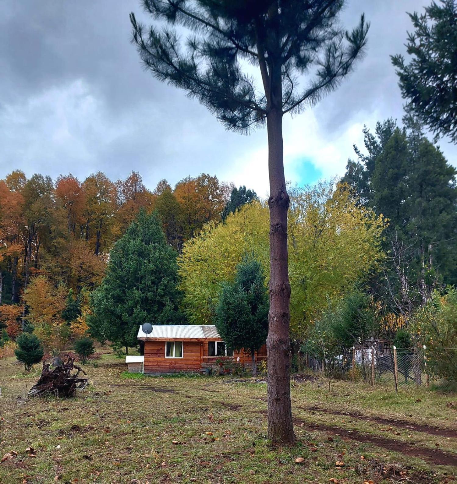 Cabana May Pao, Para 3 En Melipeuco Cerca Del Parque Nacional Conguillio Buitenkant foto